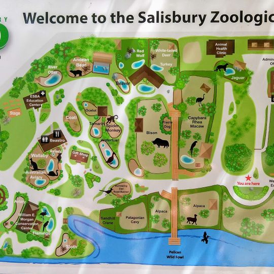 Salisbury Zoo