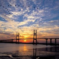 Seohae Bridge