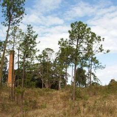 Central Sugar Mill Ruins