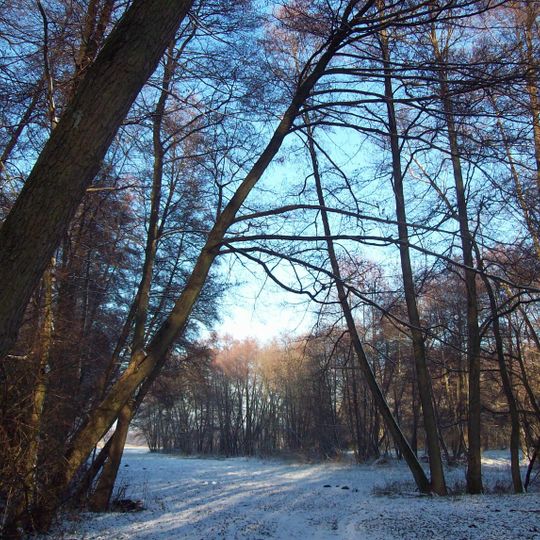 Zellerbruch von Seligenstadt und Zellhausen