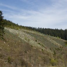 LSG "Frankenwald" im Gebiet der Landkreise Hof, Kronach und Kulmbach