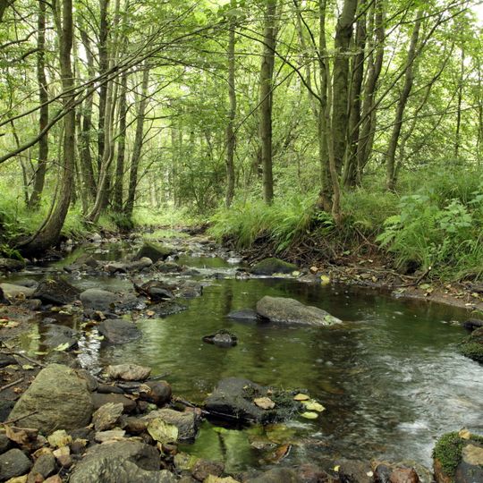 Niva Olšového potoka