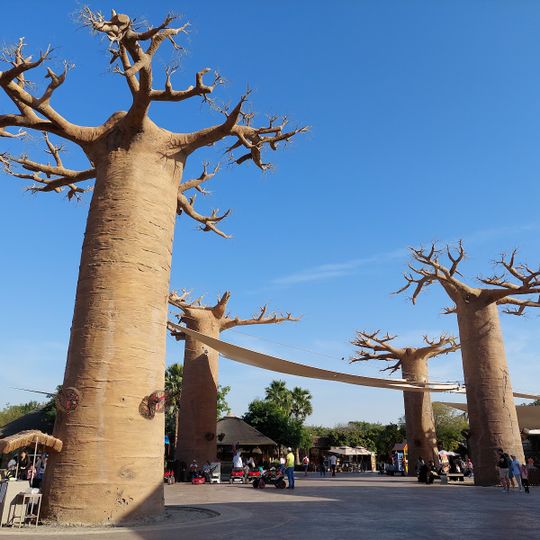 القرية الأفريقية