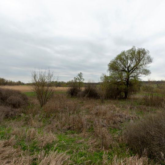 Wytoky ritschky Basawluk