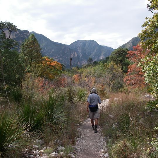 McKittrick Canyon