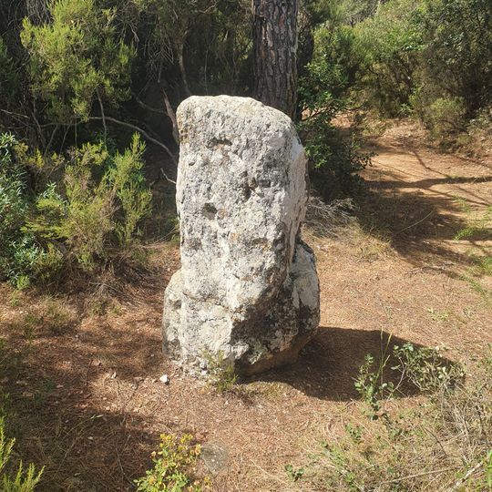 Menhir de Sant Sadurní