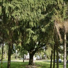 Park