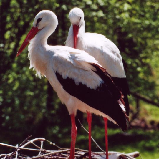 Parco nazionale di El-Kouf