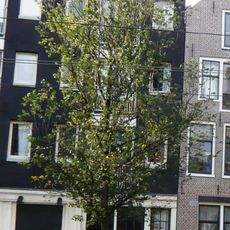 Pakhuis met puntgevel