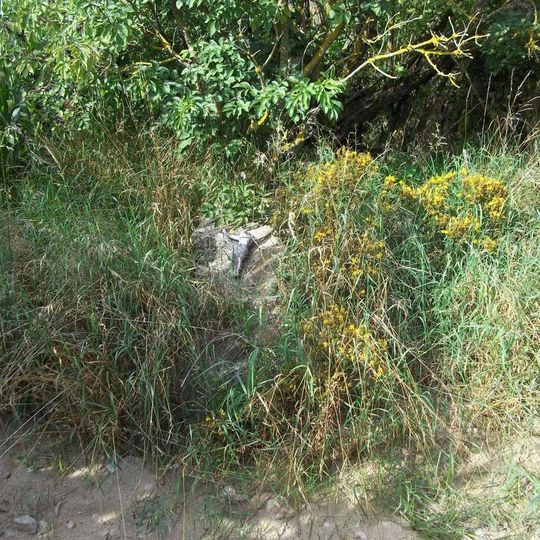 Kříž u rozorané cesty ze Záluží do Budislavi