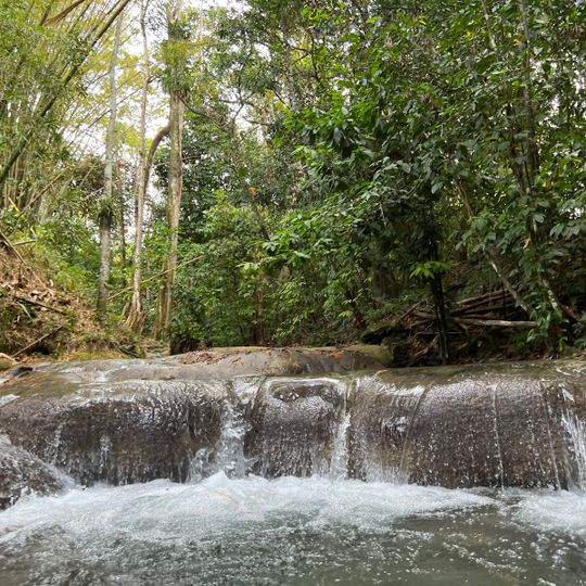 Mayfield Falls Office Enterance