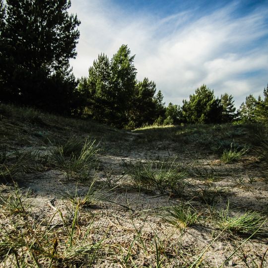 The Grey Dune of Pavilosta