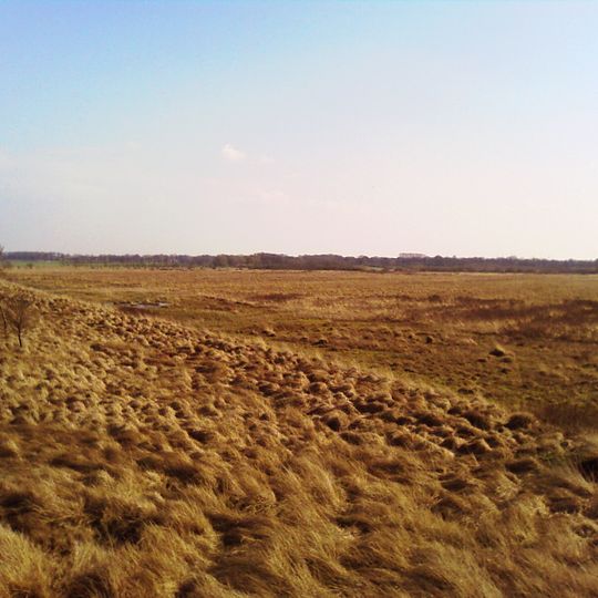 Dellstedter Birkwildmoor