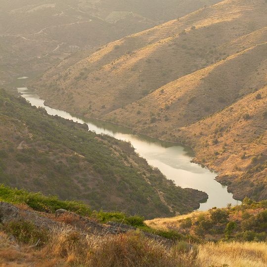 La Rachita viewpoint