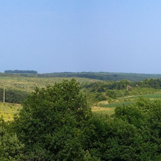 Berezivs'kyj landscape preserve