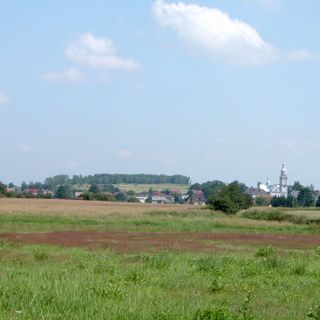 Condado de Bieruń-Lędziny