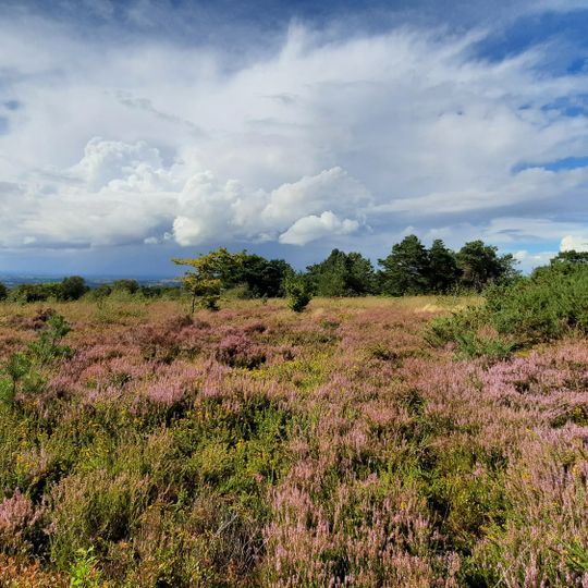 Réserve naturelle régionale Mont des Avaloirs