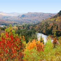 Stoneham-et-Tewkesbury