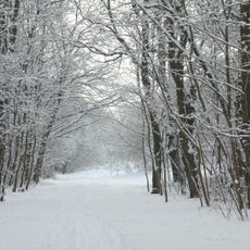 Ehemaliger Mauerstreifen, Schönholzer Heide und Bürgerpark