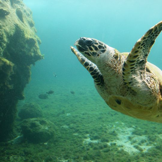 Denham Group National Park