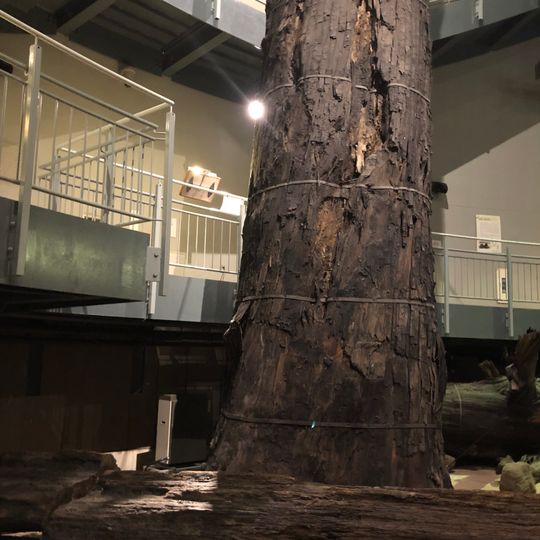 Sanbe Azukihara Buried Forest