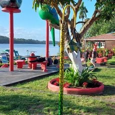Playa Tortuguero