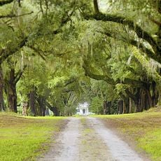 Mansfield Plantation