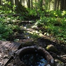 Lohärad-Svartkärret