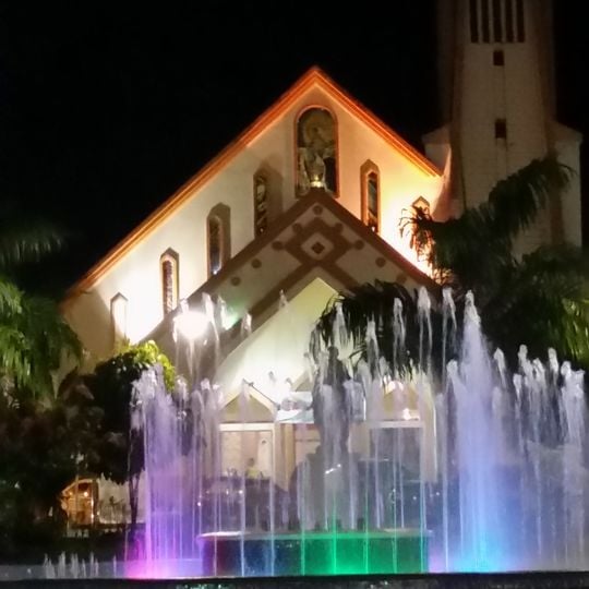 Our Lady of the Rosary Cathedral, Puyo