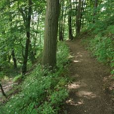 Posázavské bučiny