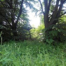 Kříž severně od Tomic u rozcestí