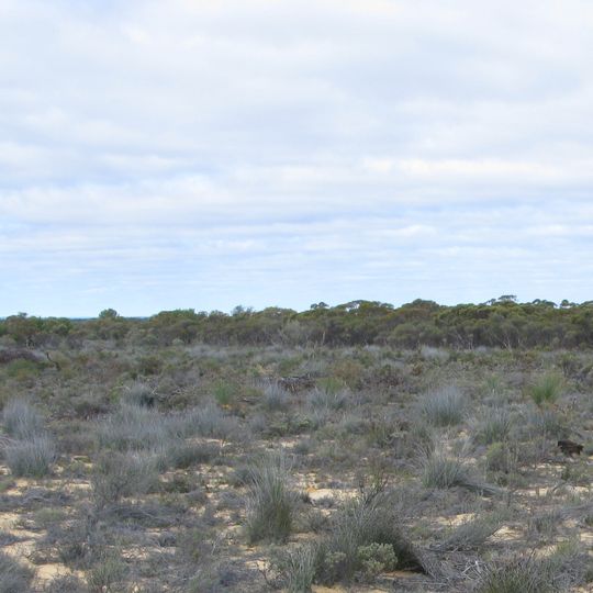 Boorabbin National Park