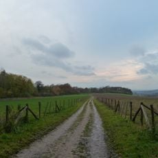 Site at the Schaelsberg with traces of extraction and processing of flint