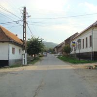 Lăpușnicel
