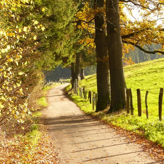 NSG Marscheider Bachtal