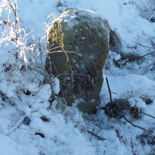Boundary Stone Circa 220 Metres West Of Stuartfield Lodge