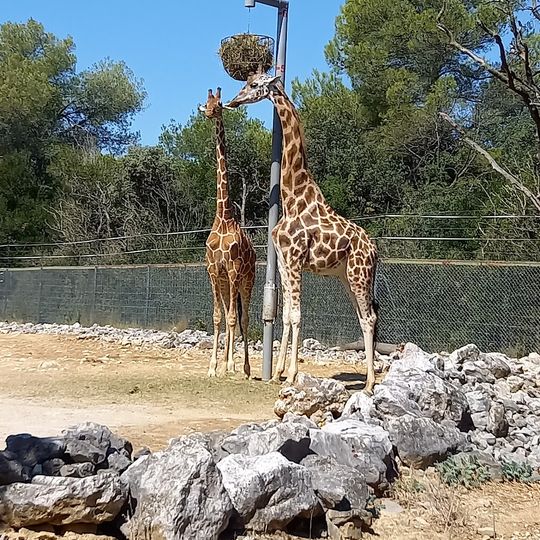 Parc zoologique de Montpellier
