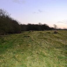 Wymington Meadow