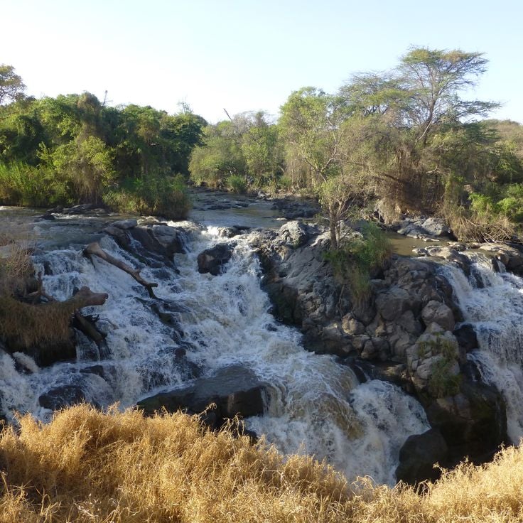 Parc national d'Awash