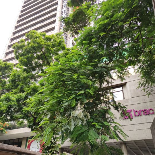 BRAC Centre