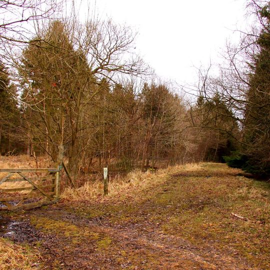 Shabbington Woods Complex