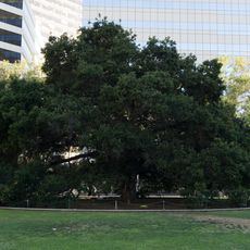 Frank H. Ogawa Plaza