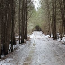 Allan Park Conservation Area