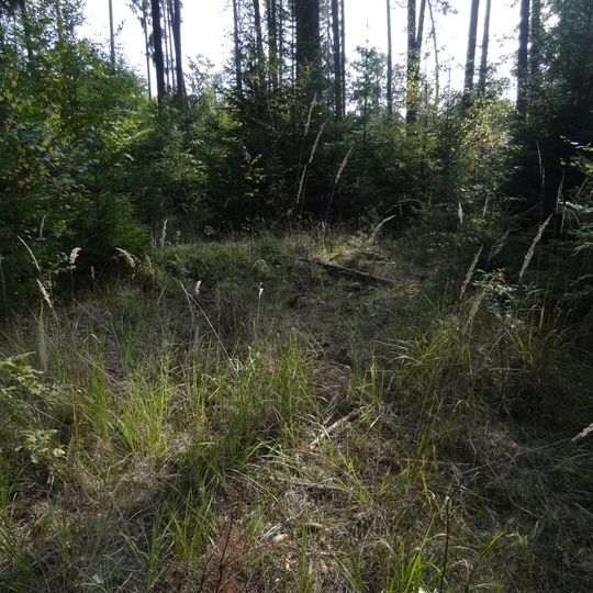 Mohylník Nad Kampanovkou