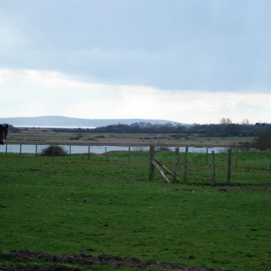 Lower Exbury Farm