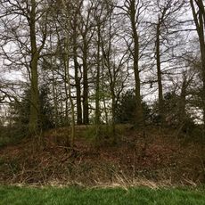 Motte castle known as Dane's Camp 400m south of Hampden House