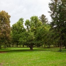 Kaštieľ Zámojských, Viszkeleti, park