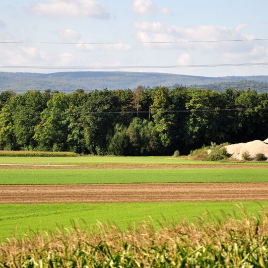 Mannhausen, Teil der spätrömischen Rheinbefestigung