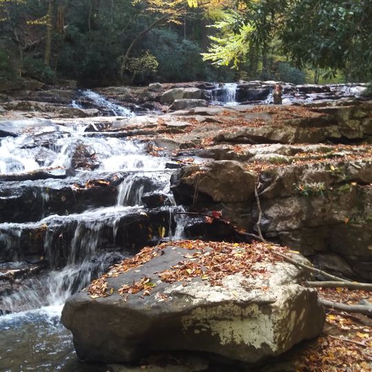 Potomac-Garrett State Forest