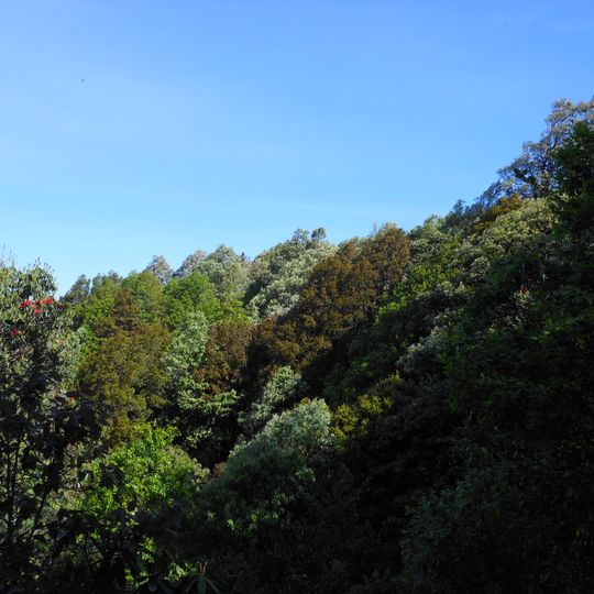 Binsar Wildlife Sanctuary